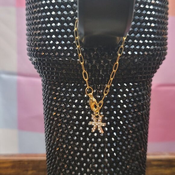 Pisces Zodiac Tumbler Charm - Picture 2 of 5
